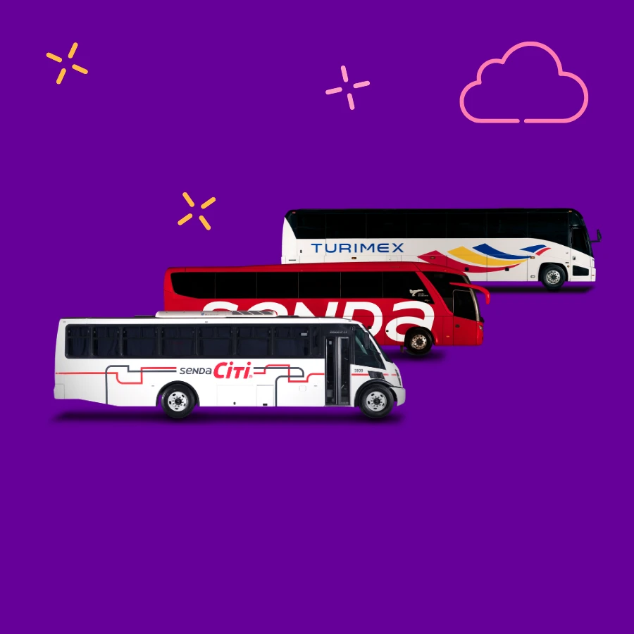 autobuses Senda, Turimex, Senda Citi formados en una fila